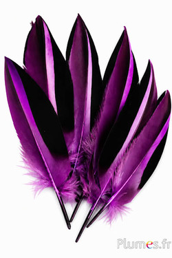 Anatra Madagascar - 12-14 cm - melanzana